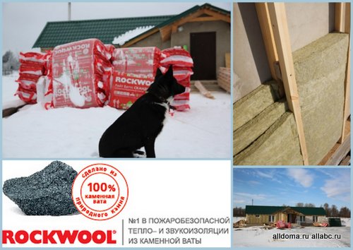 Чтобы лапы были в тепле – компания ROCKWOOL оказывает благотворительную помощь Центру Реабилитации бездомных животных!